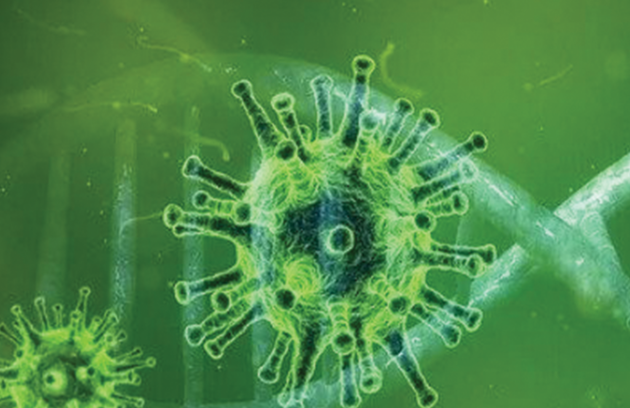 coronavirus