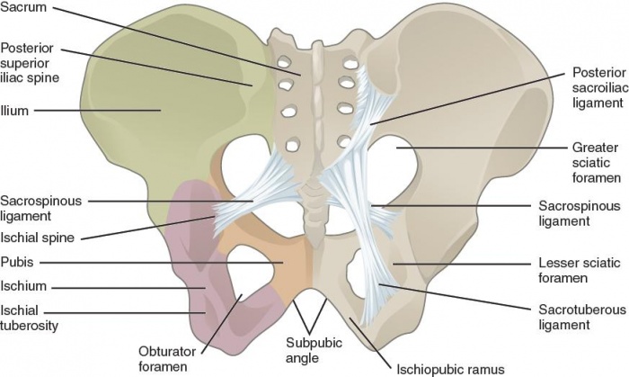 Pelvic Fracture Surgery